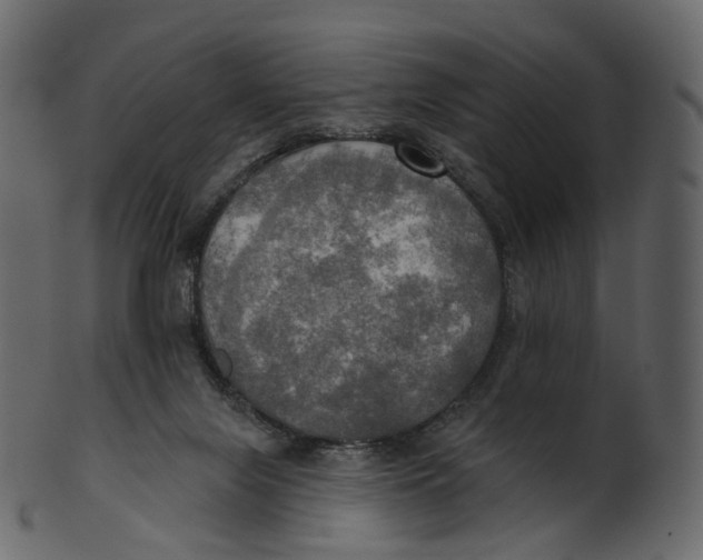 X0000100470071200807031838