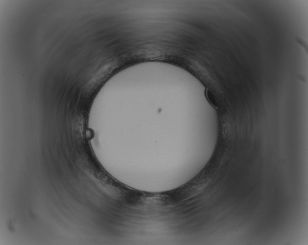 X0000100470072200807031838