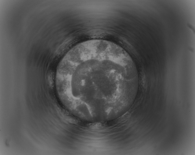 X0000100470074200807031838