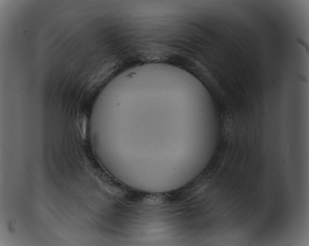 X0000100470076200807031838