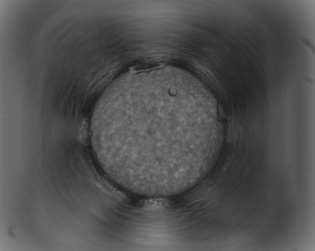 X0000100470077200807031838