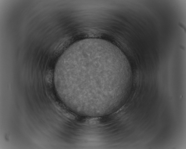 X0000100470078200807031838