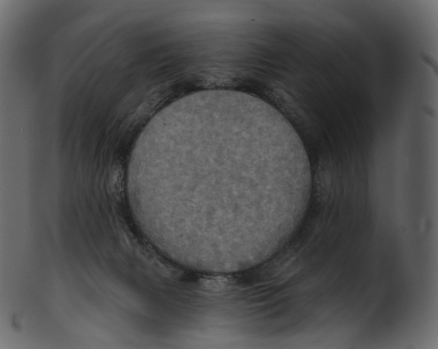 X0000100470079200807031838