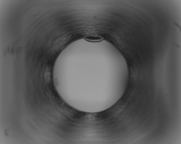 X0000100470080200807031838