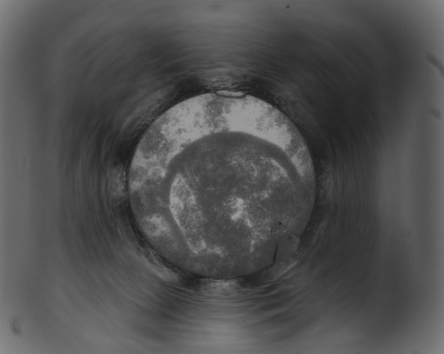 X0000100470081200807031838