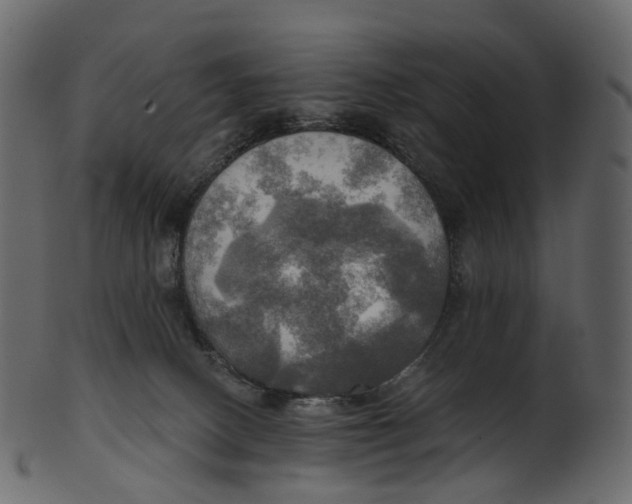 X0000100470082200807031838