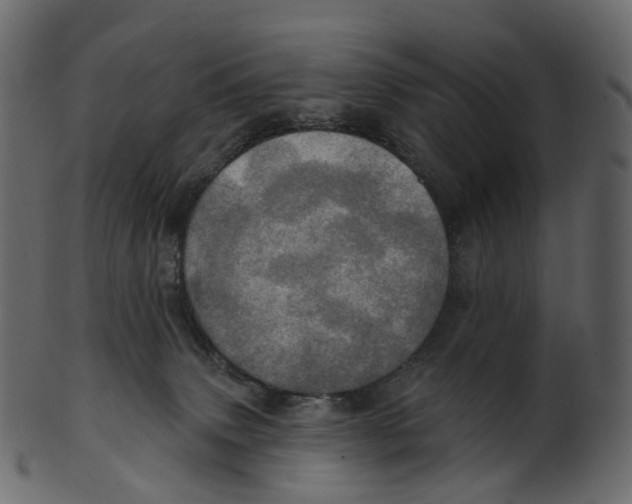 X0000100470083200807031838