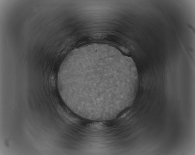 X0000100470086200807031838