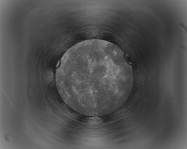 X0000100470087200807031838