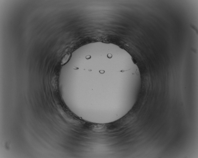 X0000100470088200807031838