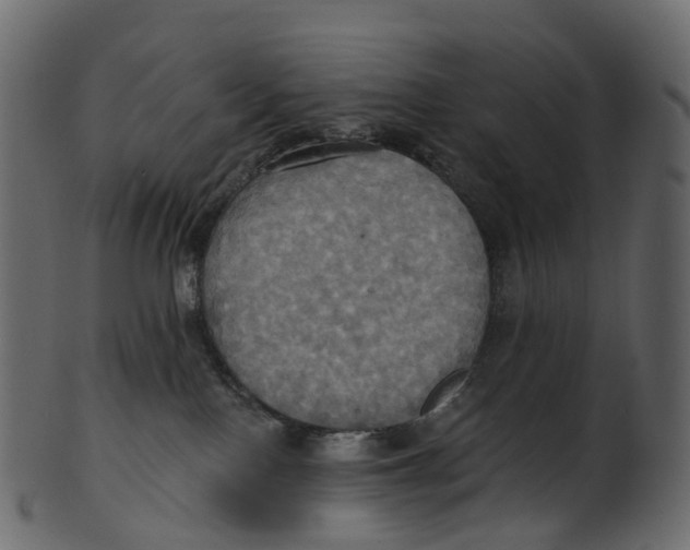 X0000100470090200807031838