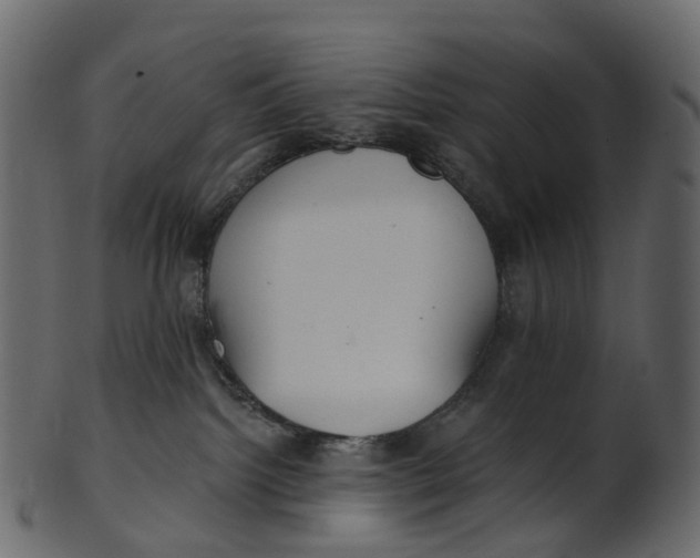 X0000100470092200807031838