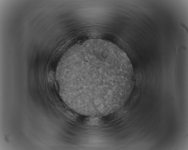 X0000100470093200807031838