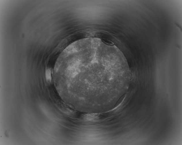 X0000100470094200807031838