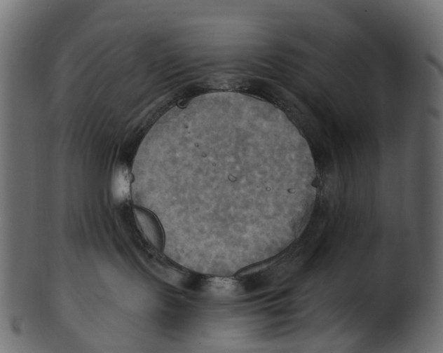 X0000100470095200807031838