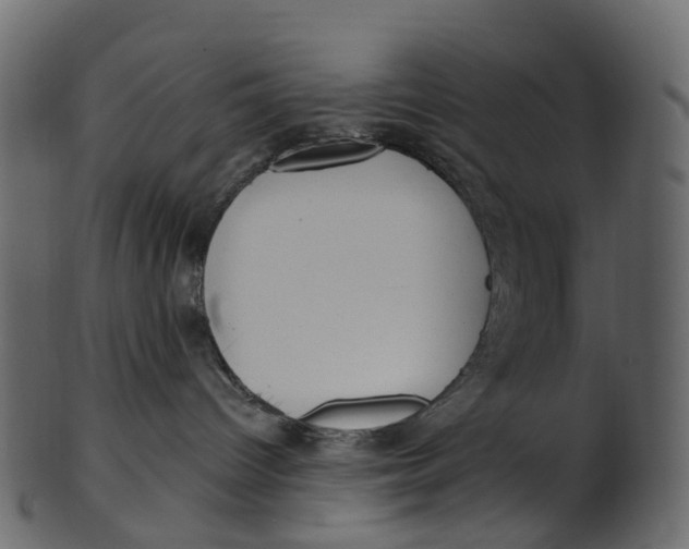 X0000100470096200807031838