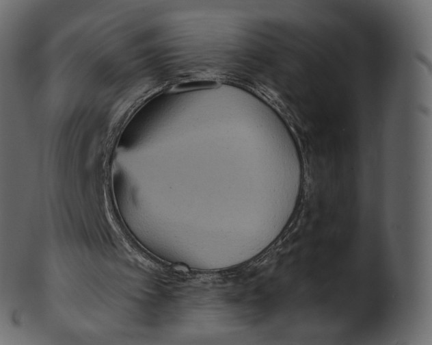 X0000100470097200807031837