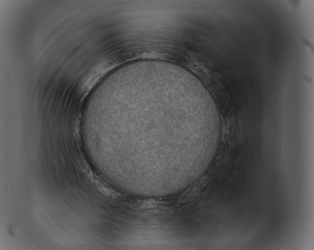 X0000100470098200807031837