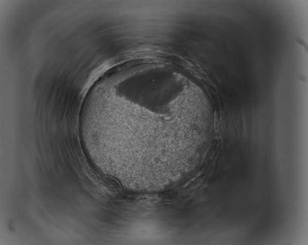 X0000100470099200807031837