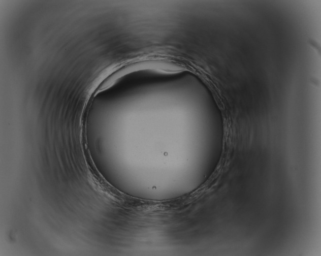 X0000100470100200807031837