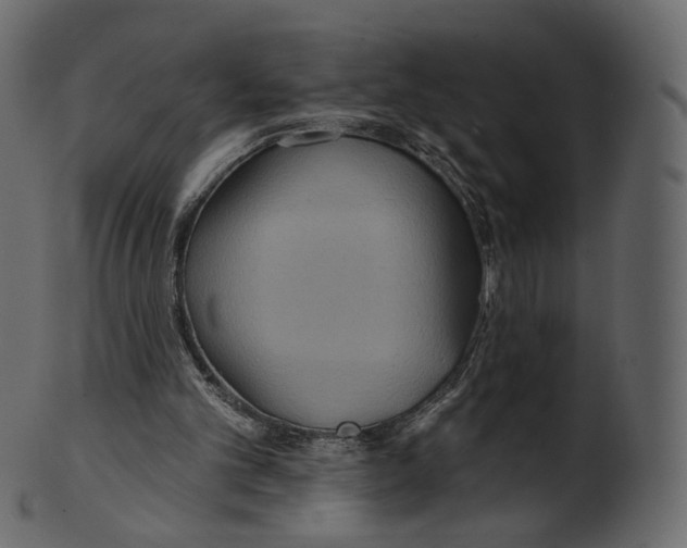 X0000100470101200807031837