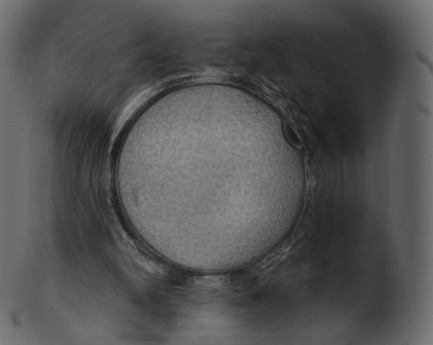 X0000100470102200807031837