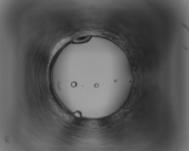 X0000100470104200807031837