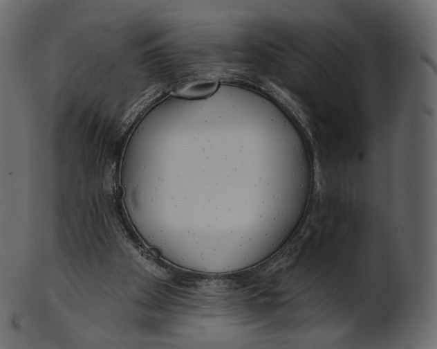 X0000100470105200807031837