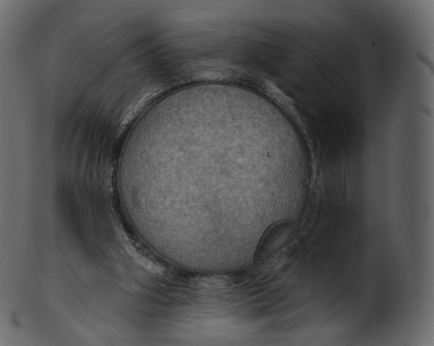 X0000100470106200807031837