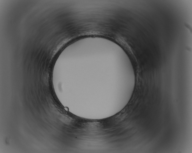 X0000100470108200807031837