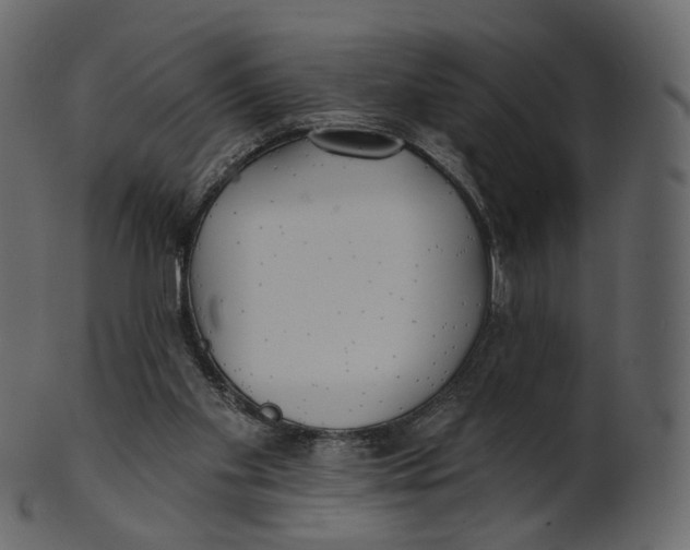 X0000100470109200807031837