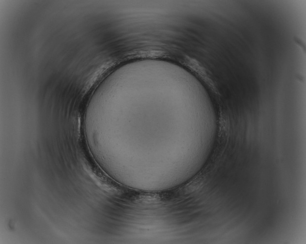 X0000100470110200807031837