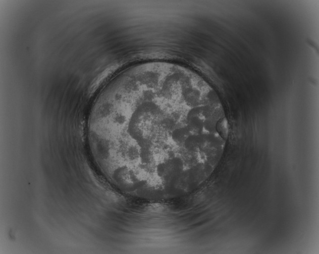 X0000100470111200807031837