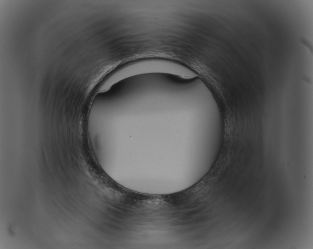 X0000100470112200807031837