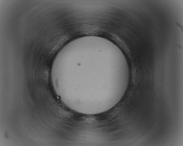 X0000100470113200807031837