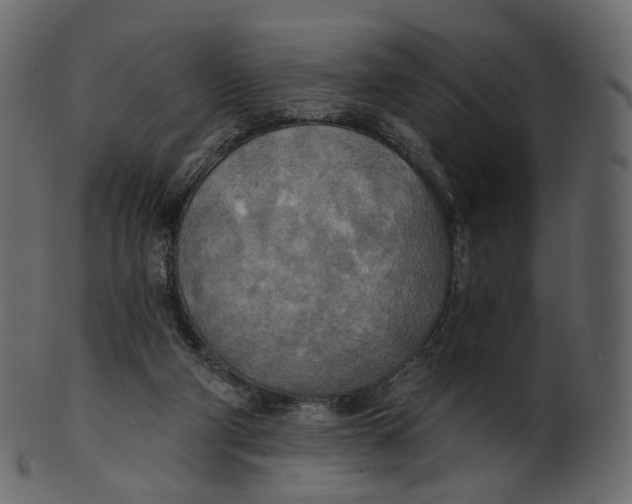 X0000100470114200807031837