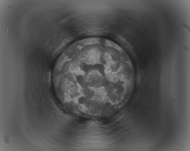 X0000100470115200807031837