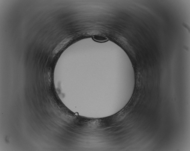 X0000100470116200807031837