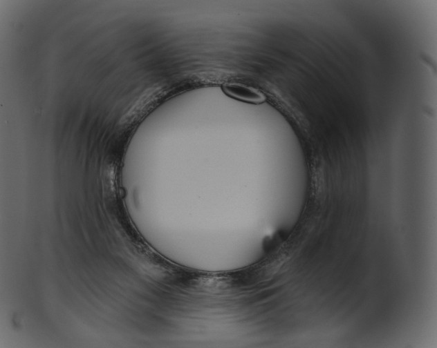 X0000100470117200807031837