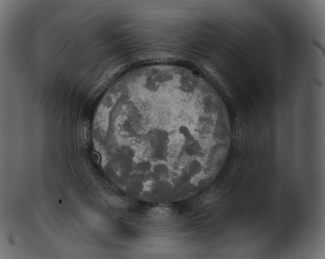 X0000100470119200807031837