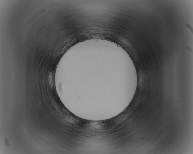 X0000100470121200807031837