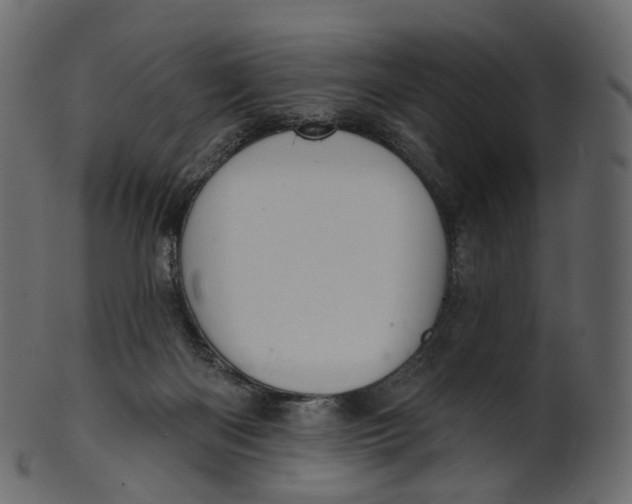 X0000100470122200807031837