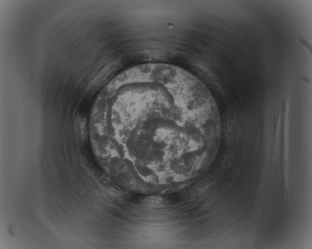 X0000100470123200807031837