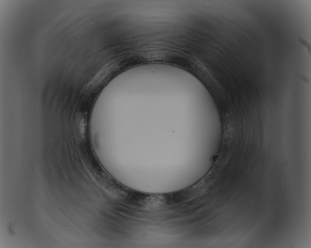 X0000100470124200807031837