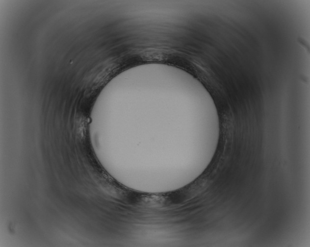 X0000100470125200807031837