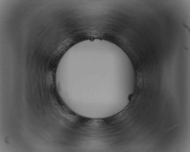 X0000100470128200807031837