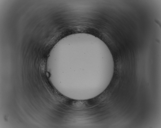 X0000100470129200807031837