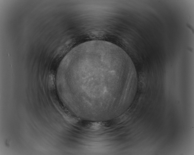 X0000100470130200807031837