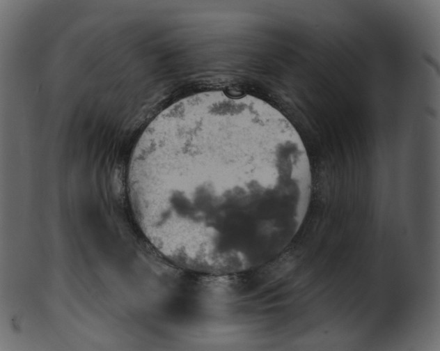 X0000100470131200807031837