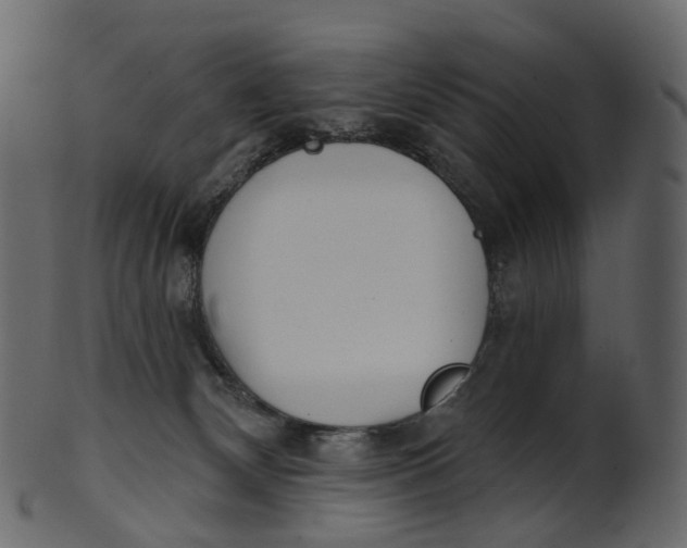 X0000100470132200807031837